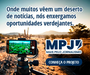 /apidata/imgcache/676934f3b347bb11ac29e12aa7bbf424.jpeg?banner=col4&when=1770141900&who=1